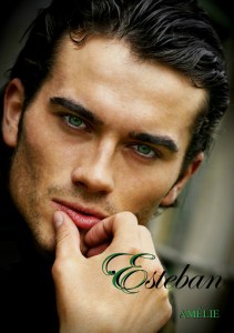 copertina definitiva