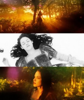 lips-red-as-blood-hair-black-as-night-bring-me-your-heart-my-dear-dear-snow-white-snow-white-and-the-huntsman-26757580-417-500