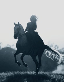 de681a2c-6acf-42e3-a761-cac0f19c6567