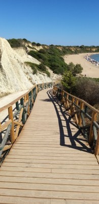 59afb470-07ef-457f-b42e-6e4fac7d44e5